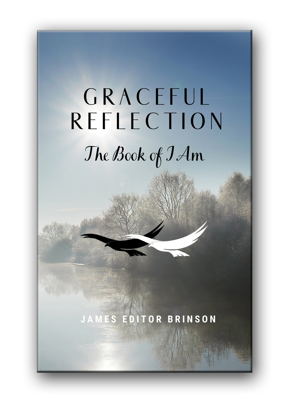Graceful Reflection Book Cover